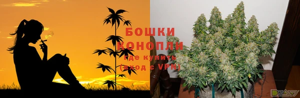 ешки Алексеевка