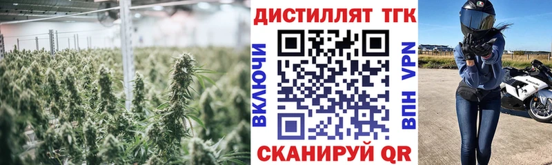 ТГК гашишное масло  Инта 