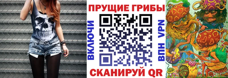 Галлюциногенные грибы мухоморы закладка Инта